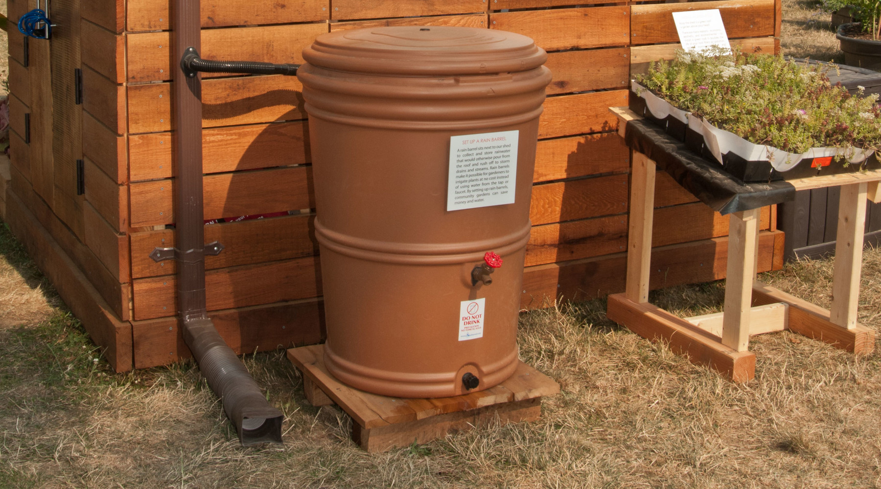 rain barrel