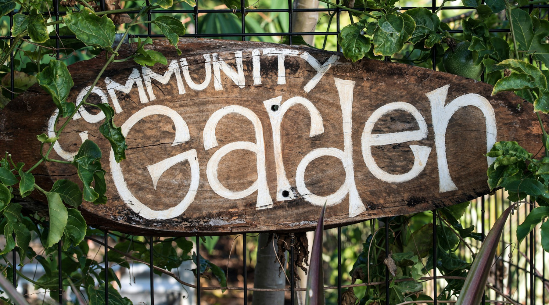 Community Gardens a Key Part of Sustainability Efforts