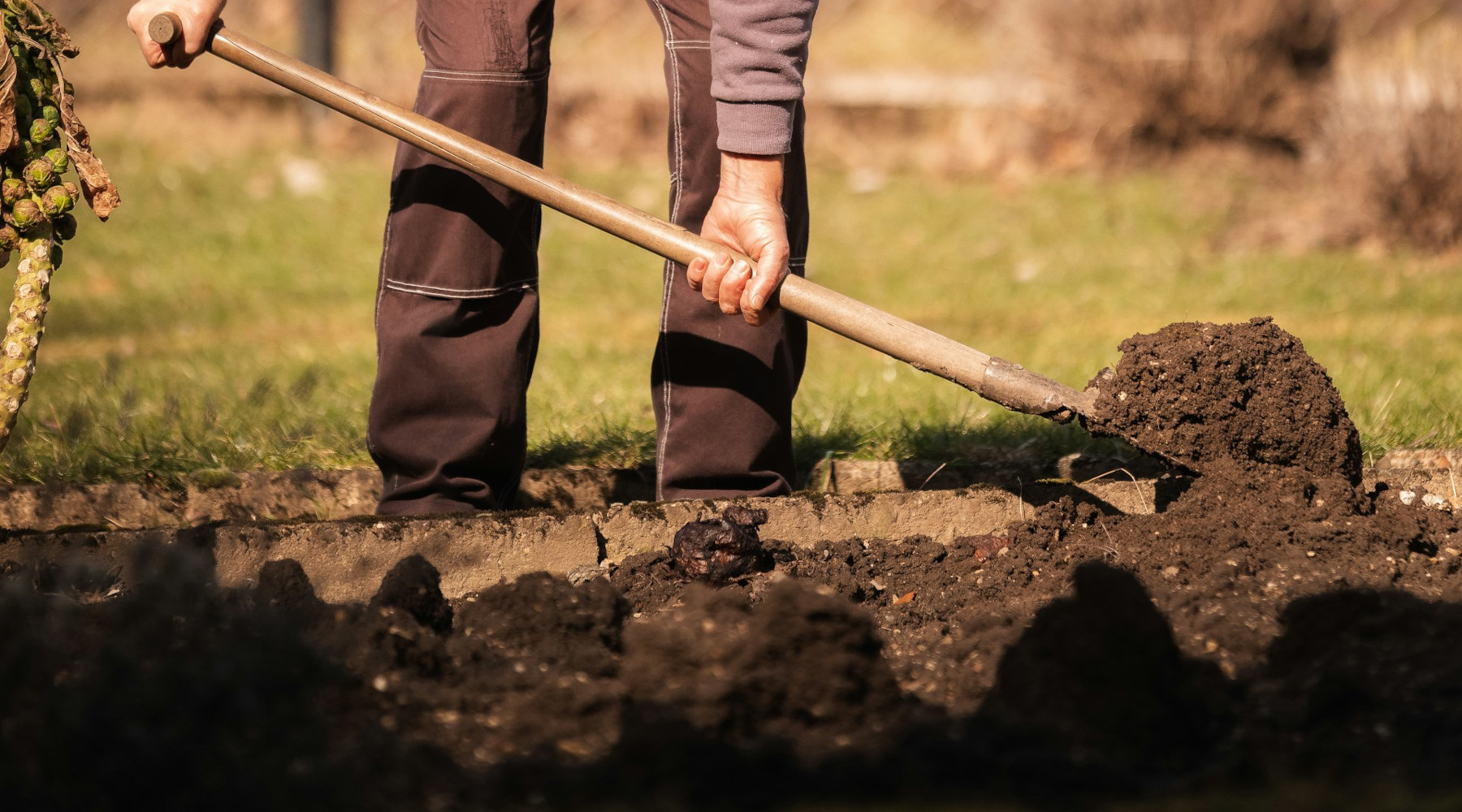 Manure in the Garden