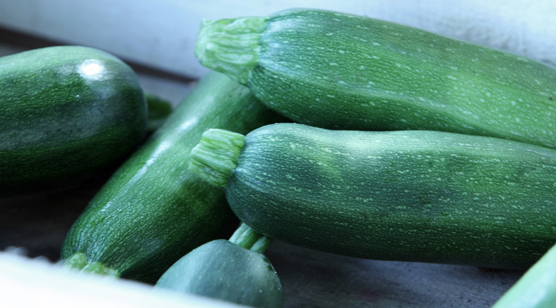 America’s Quirkiest Food Holiday Is Fueled by Too Much Zucchini