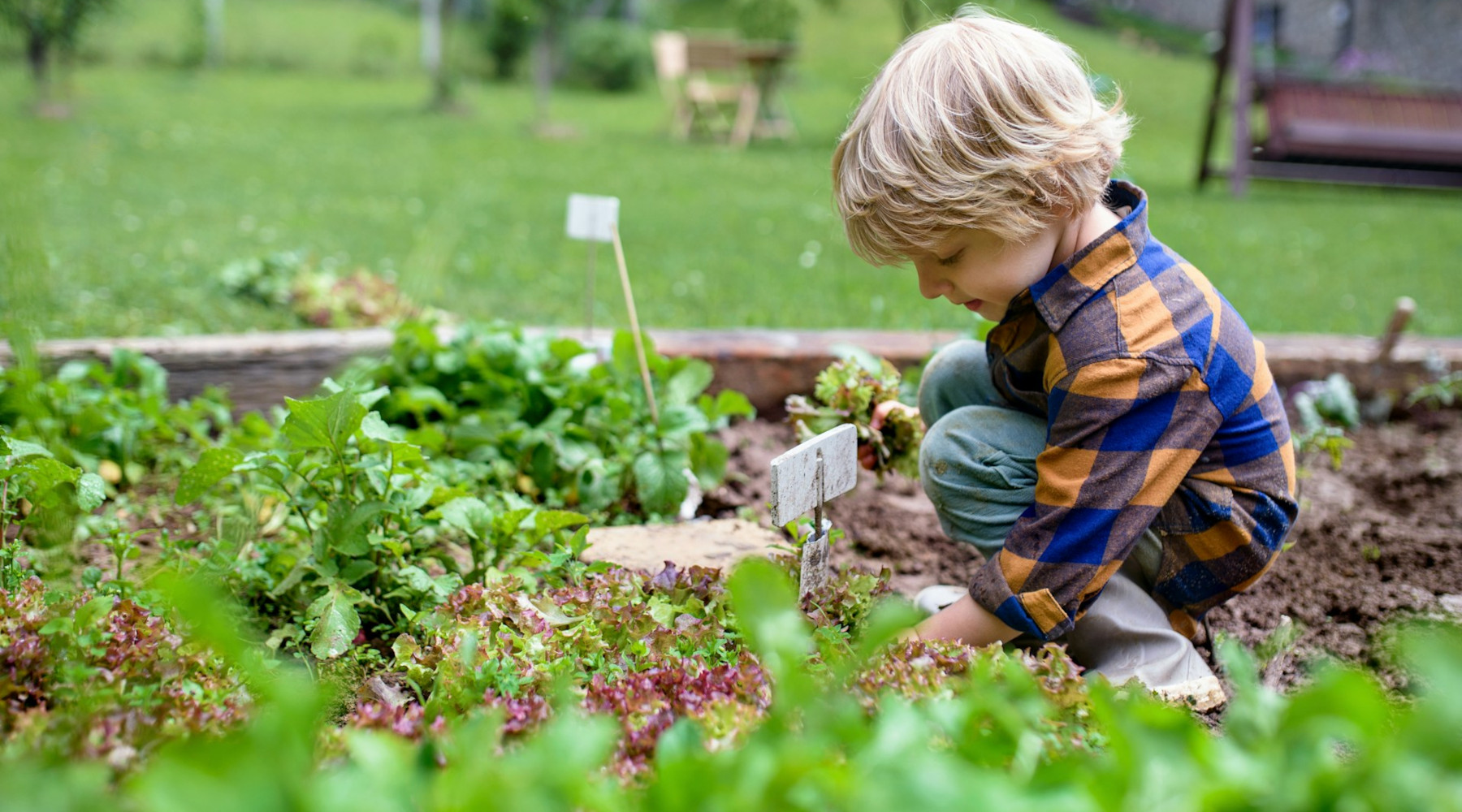 Let Kids Create Their Own Garden, and Other Tips for Instilling a Love for Growing Things