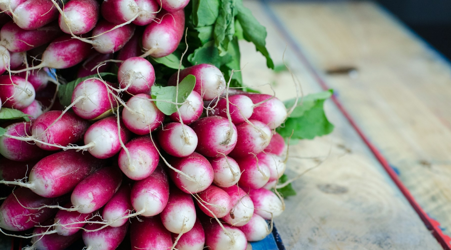 Fall Seeding cool season garden crops