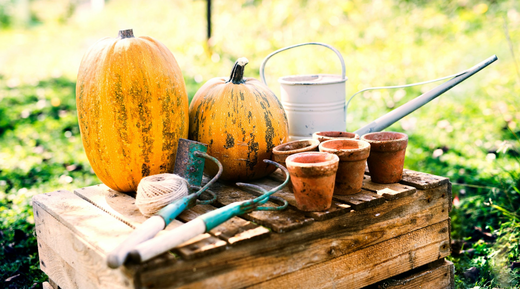 Garden Challenges