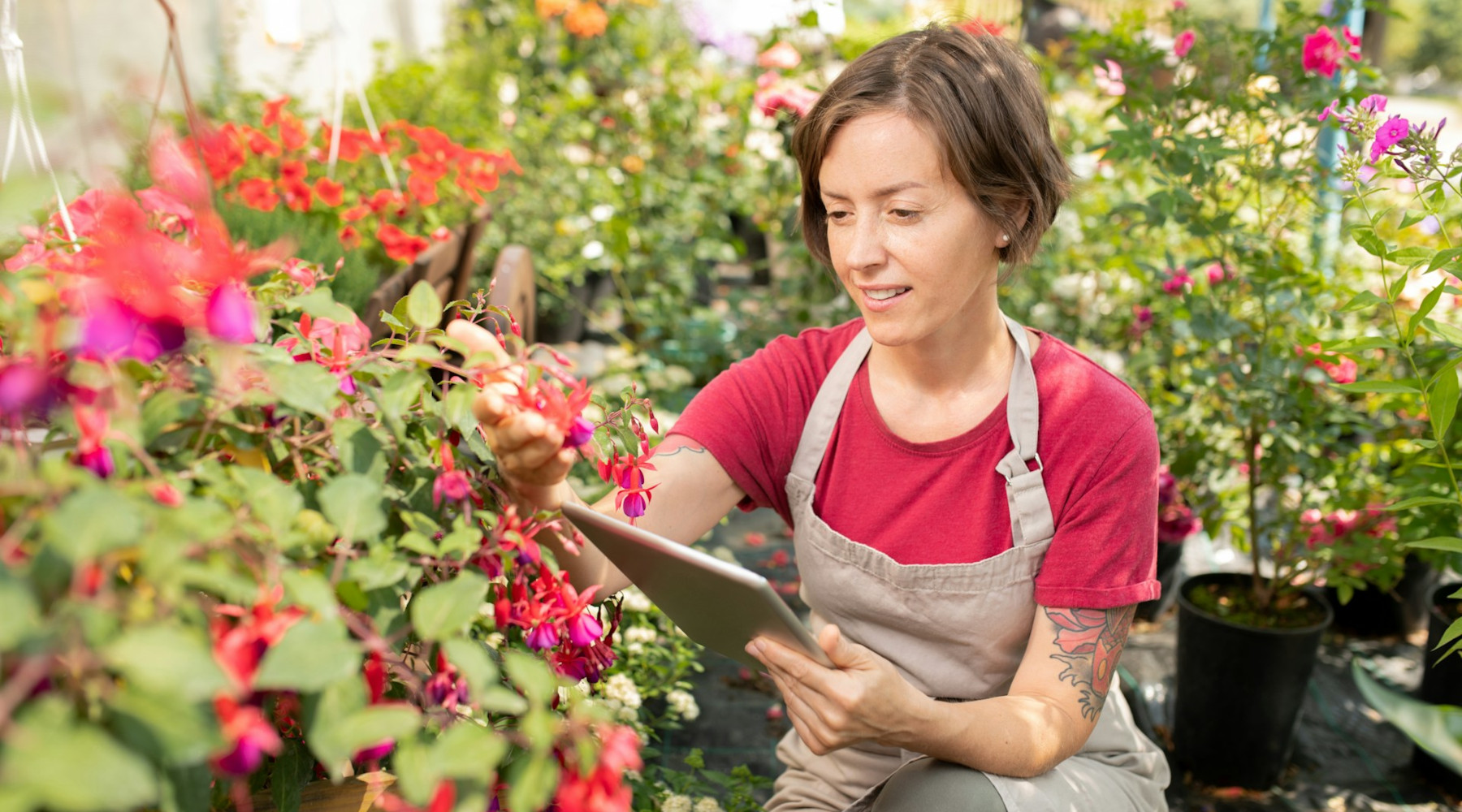 Tech in the Garden