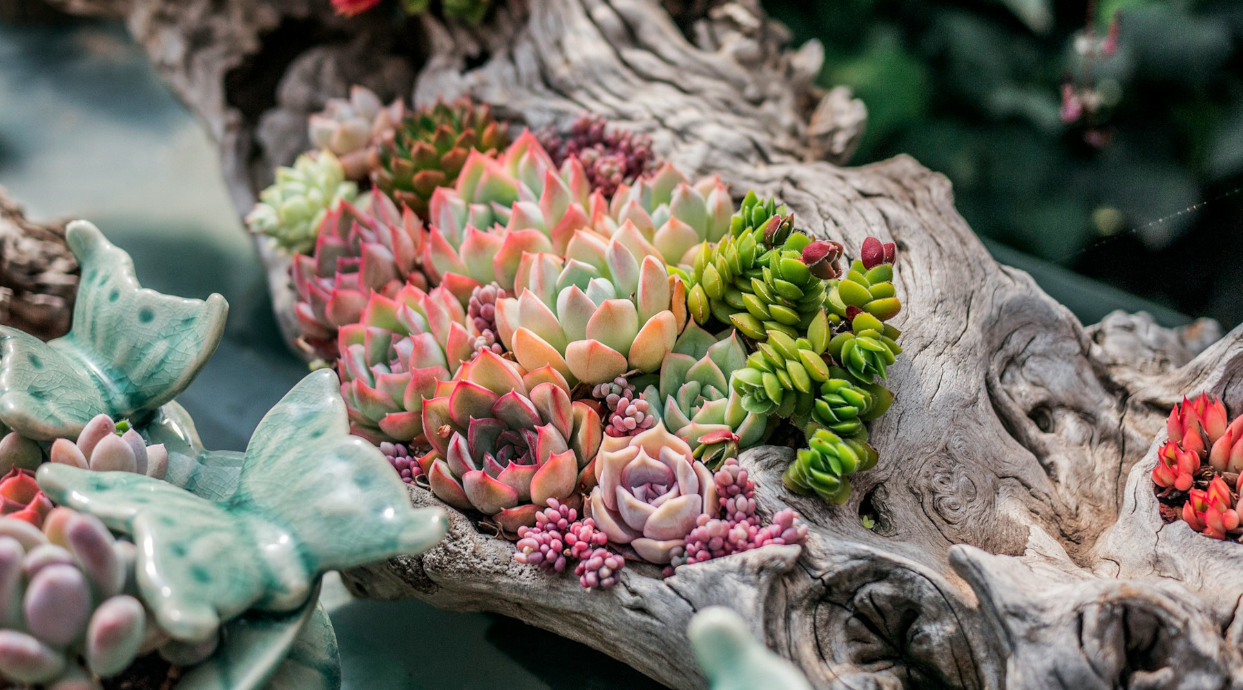 Landscaping Trend