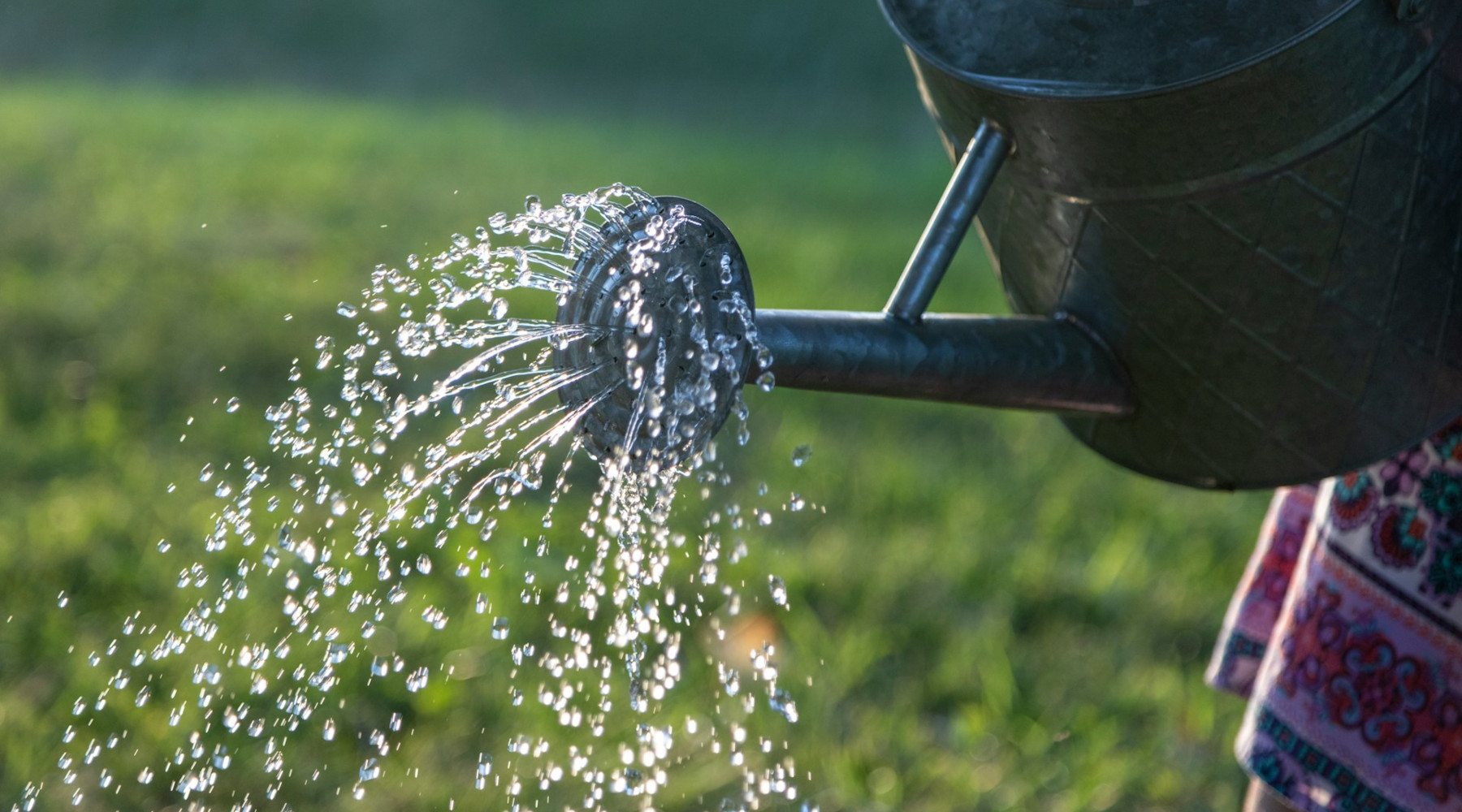 Watering In Fall and Winter