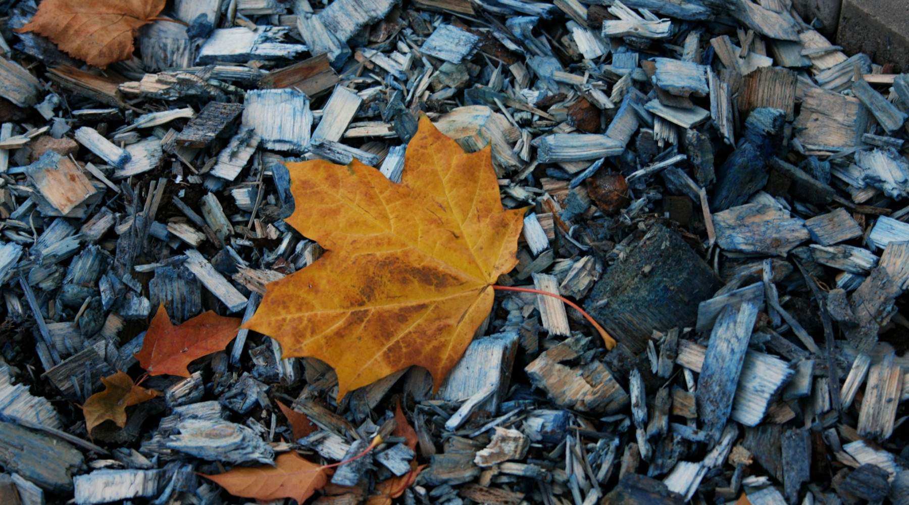 Not Too Late to Put Mulch Down