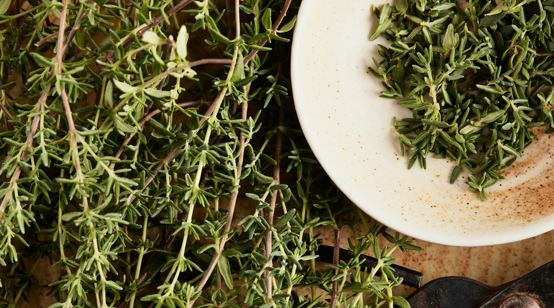 Preserving Garden-Grown Herbs