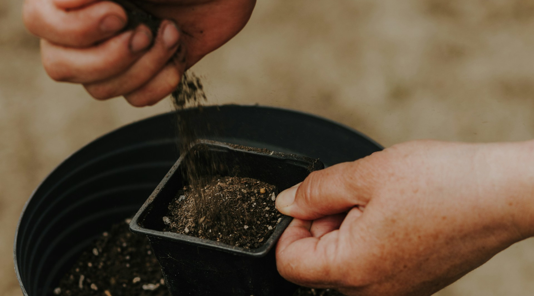 Jug It and Grow: Winter Sowing for Pollinator Gardens