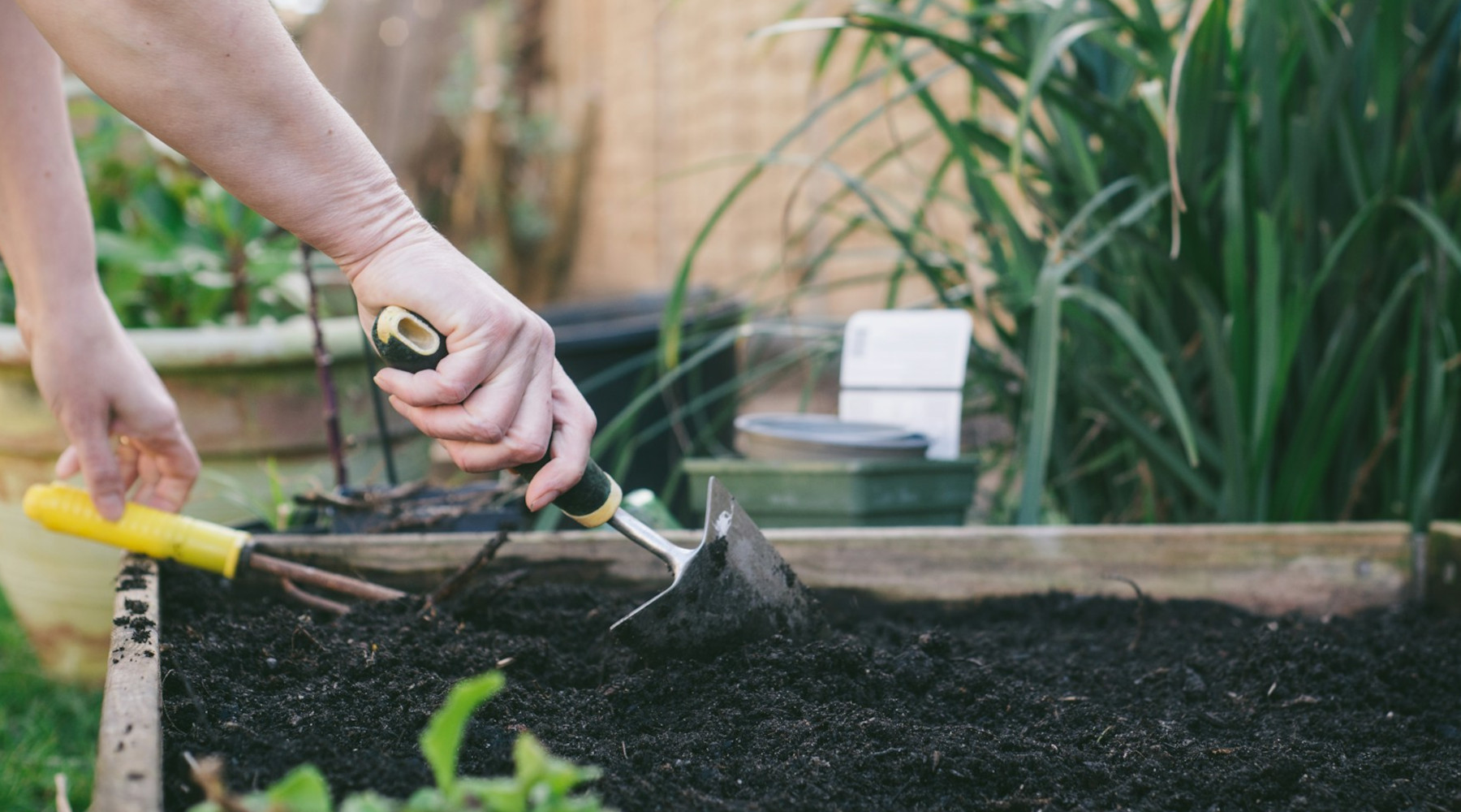 Gardening Trends for 2026