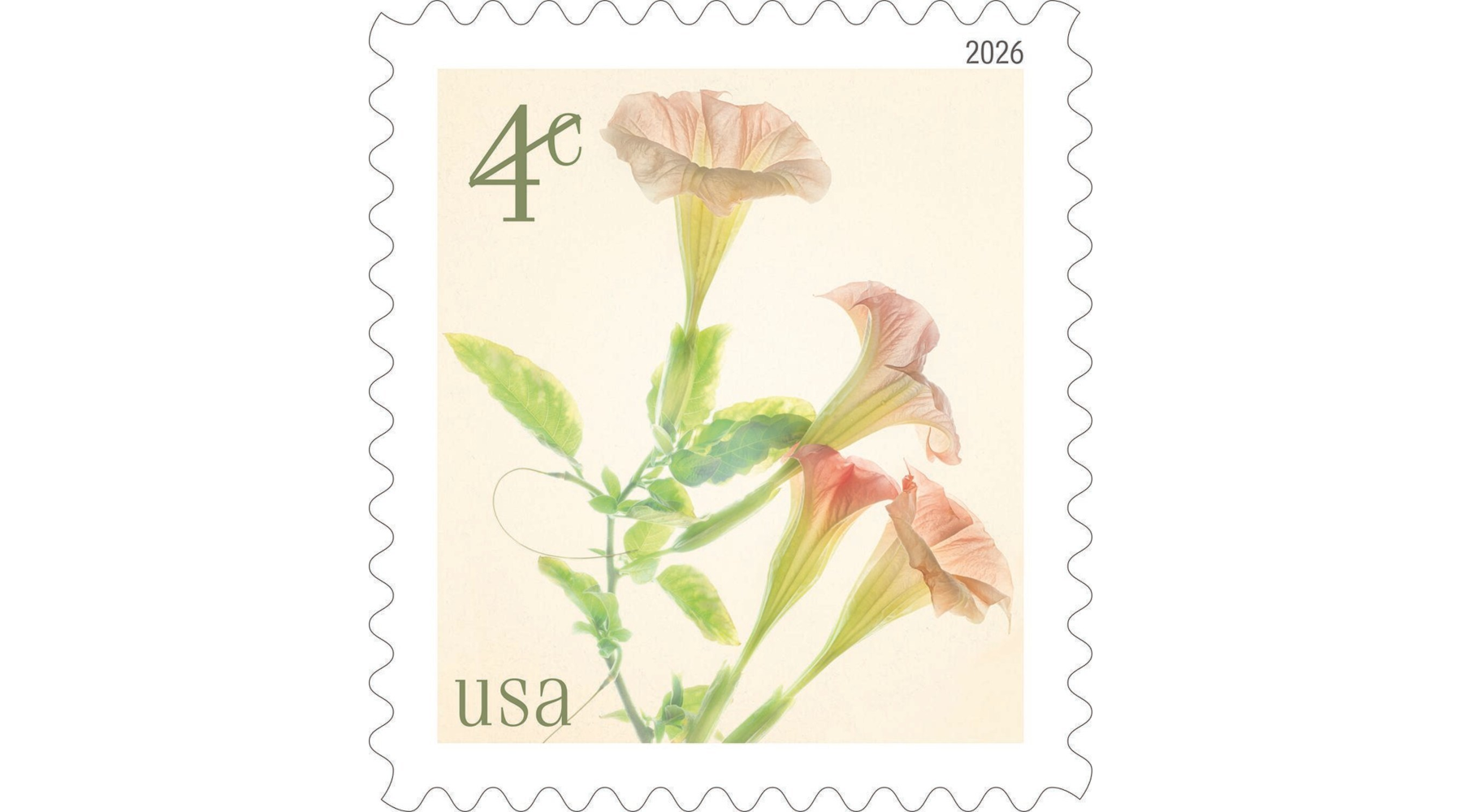 Angel's Trumpets Stamps