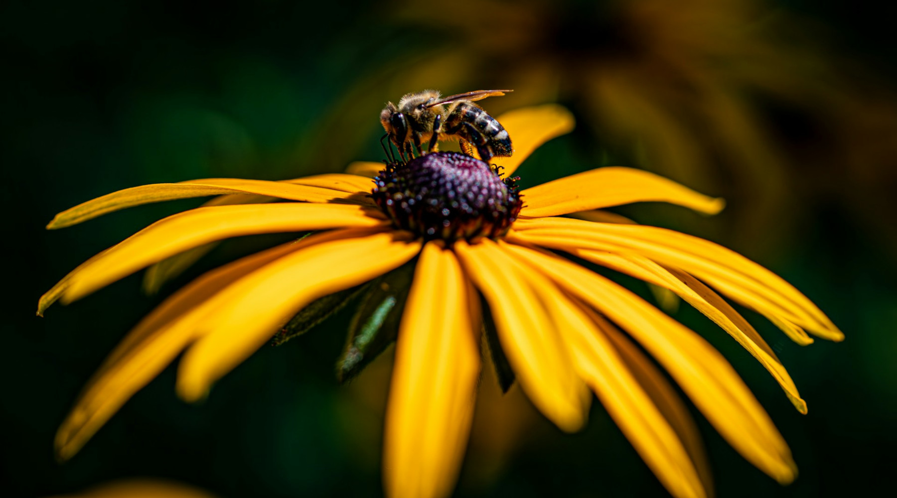 Photo by Bernd 📷 Dittrich on Unsplash