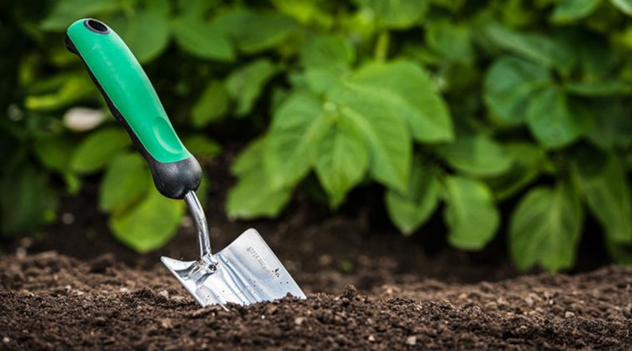 Better Gardens Begin With a Soil Test