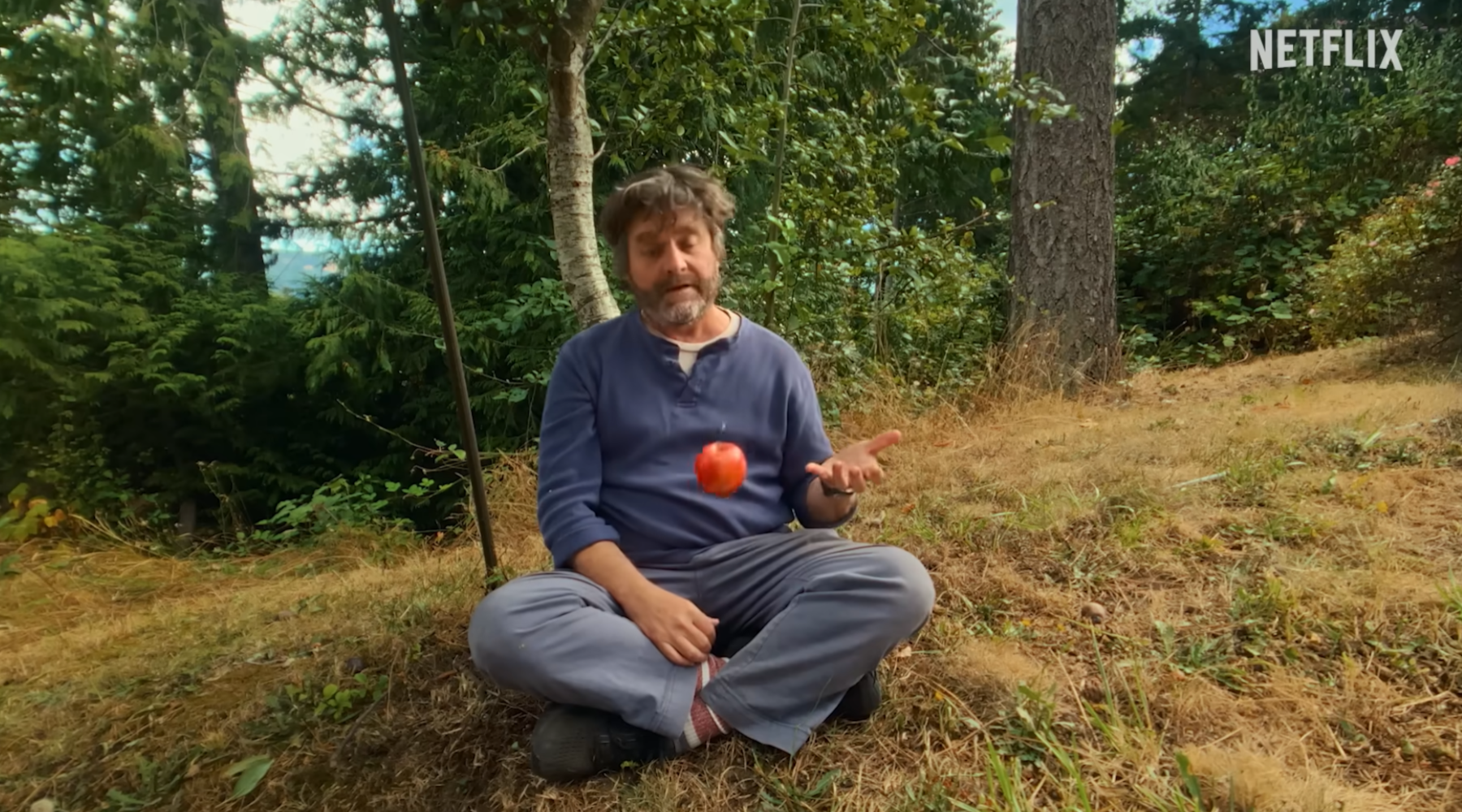 This Is A Gardening Show