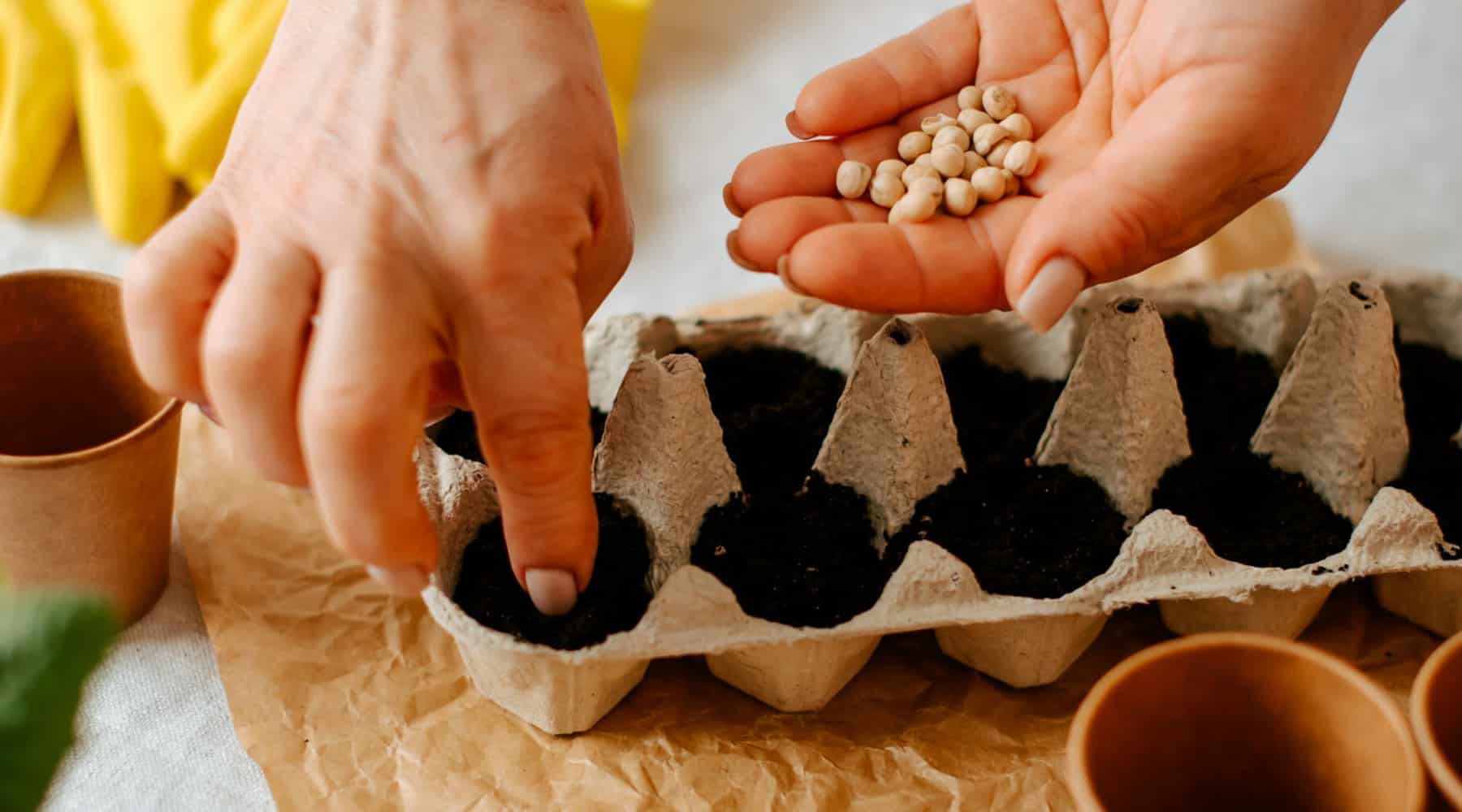 recycling in the garden