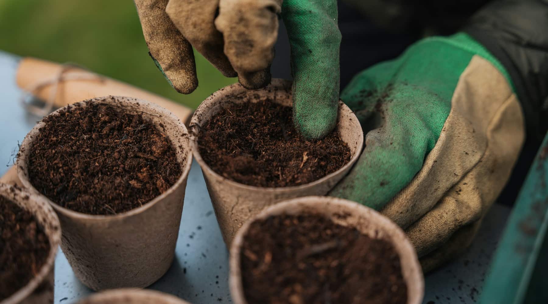 Microplastics in the garden