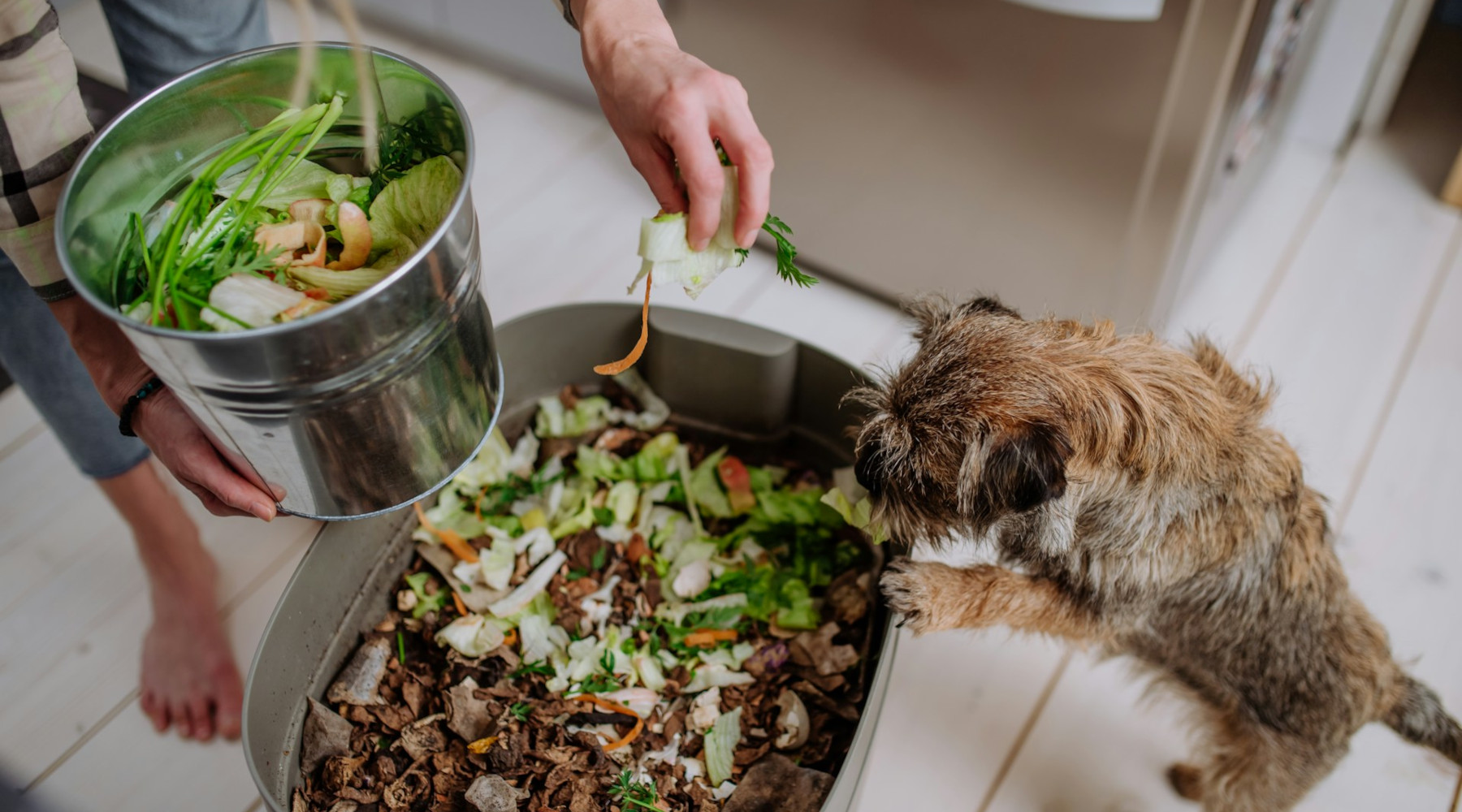 Composting