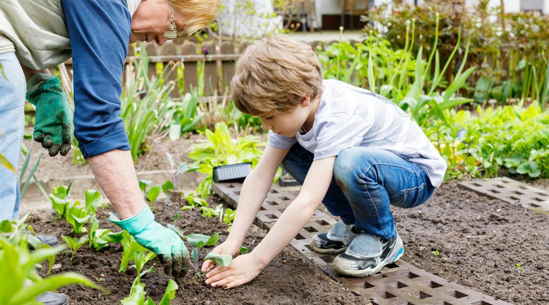 lead in garden