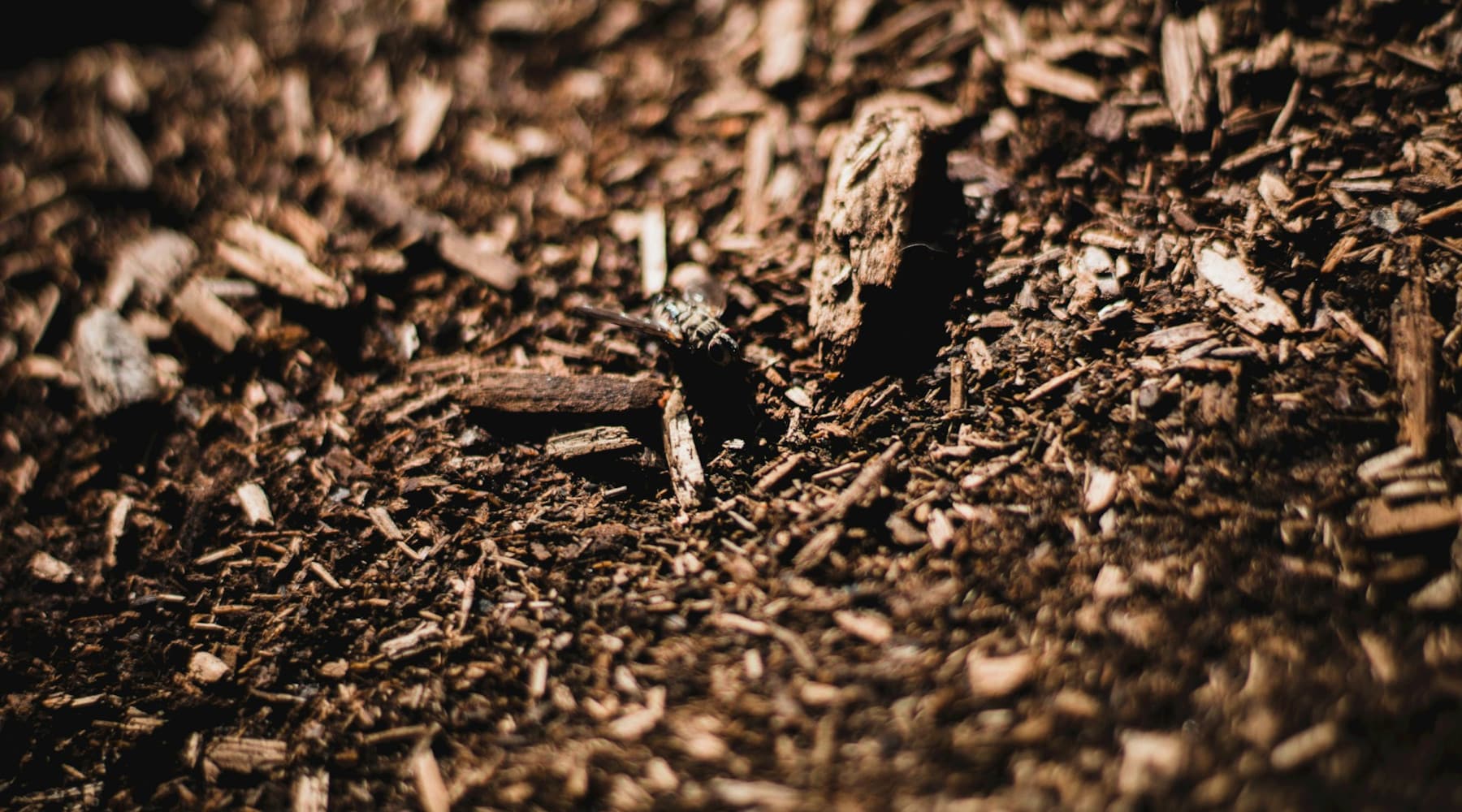 how to mulch