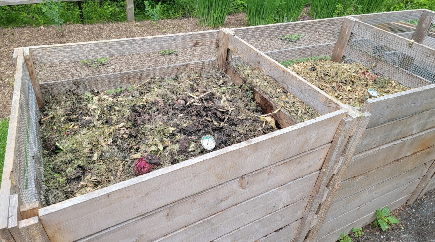 Jumpstart Your Fall Composting Success