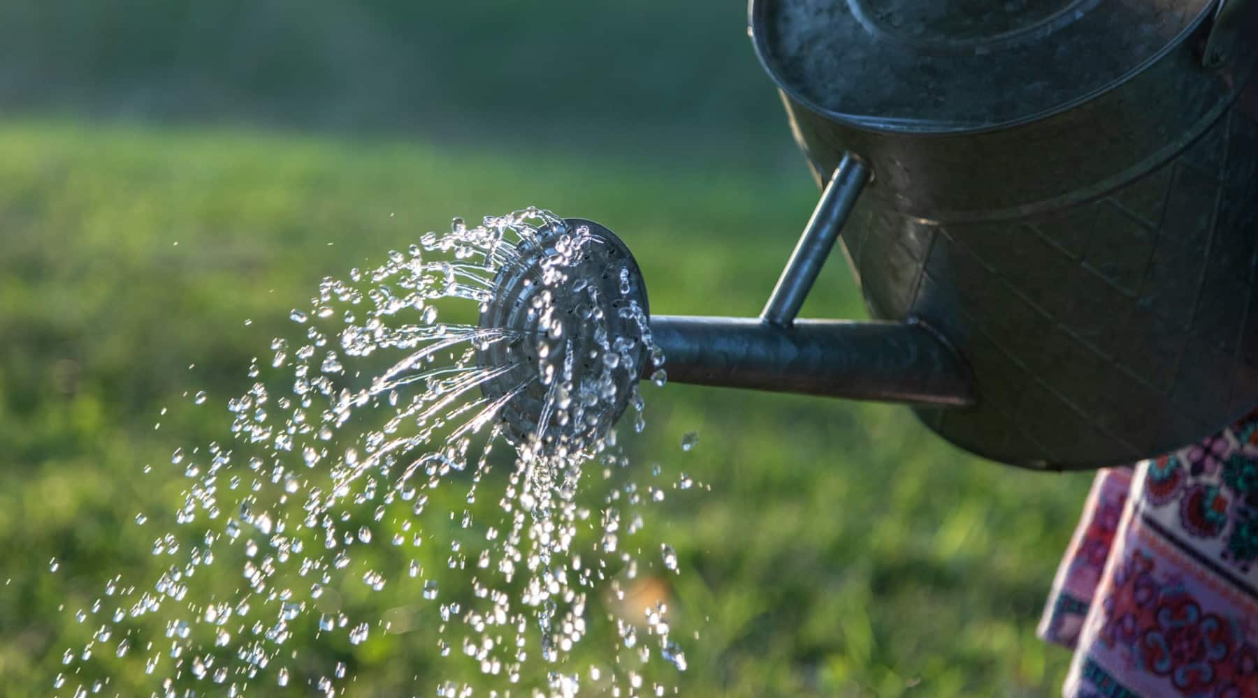 water conservation