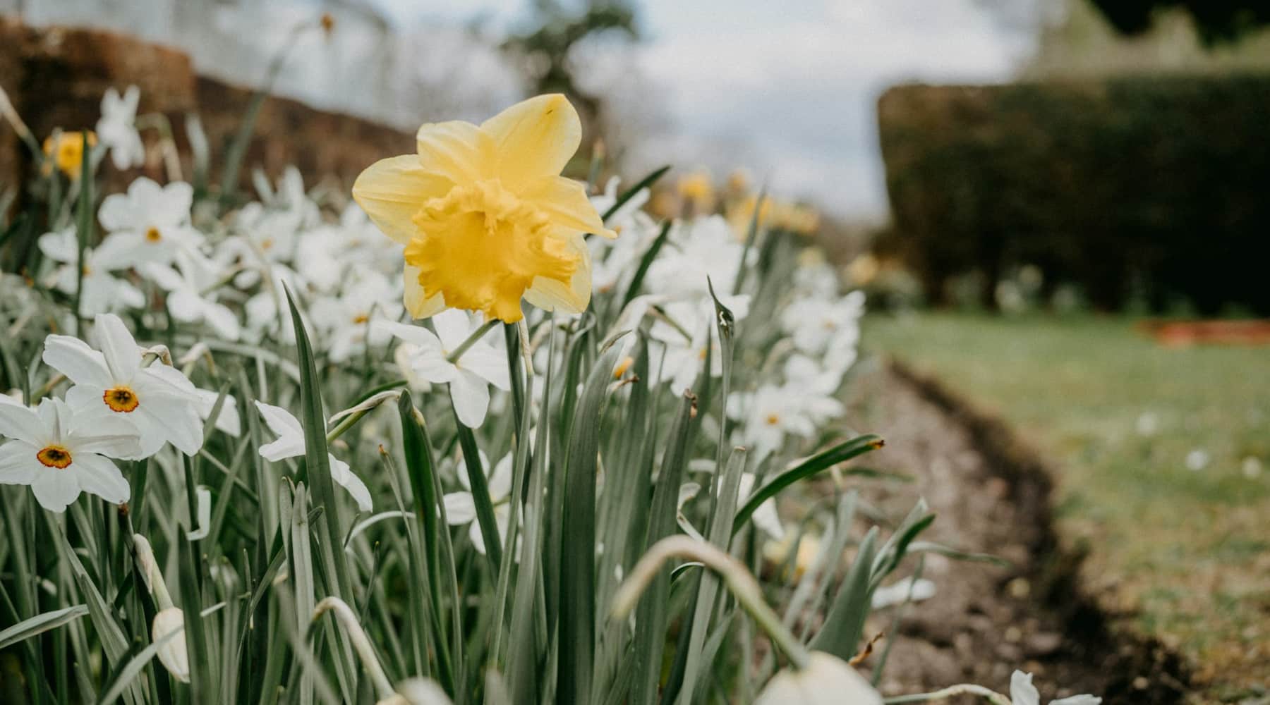 Photo by Annie Spratt on Unsplash