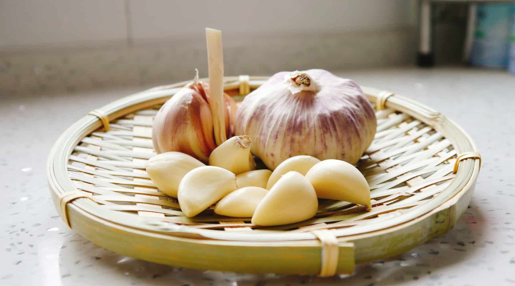 Garlic’s benefits
