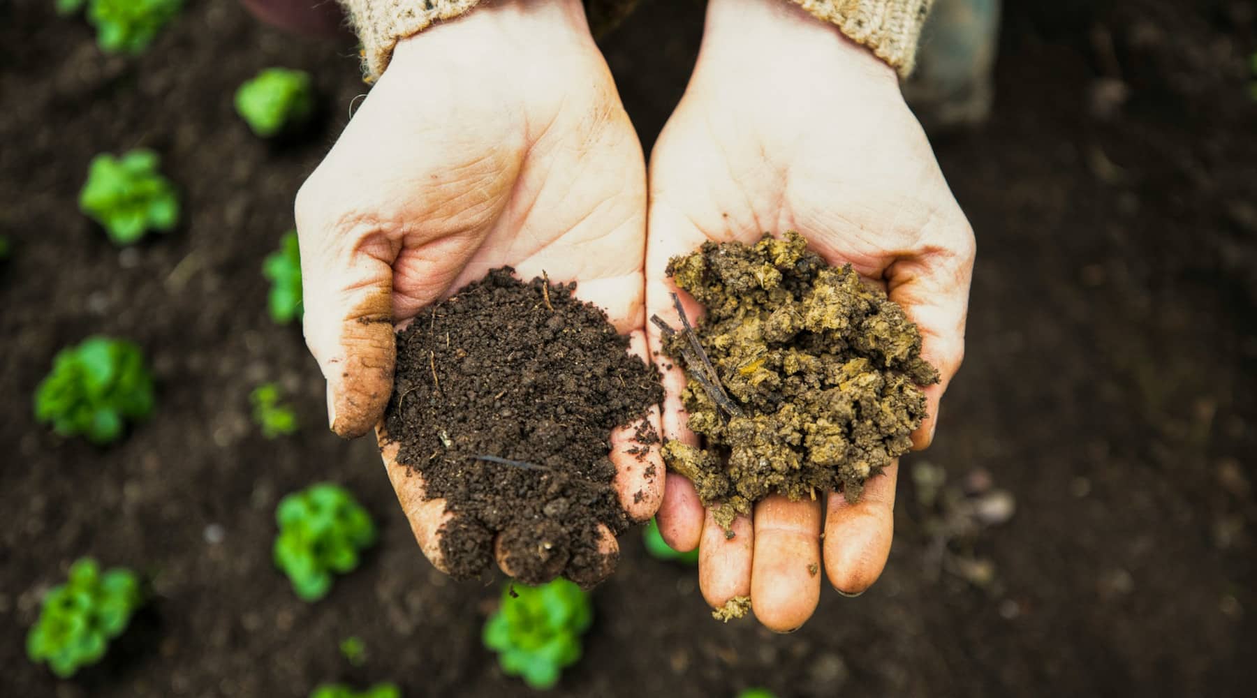 build garden soil