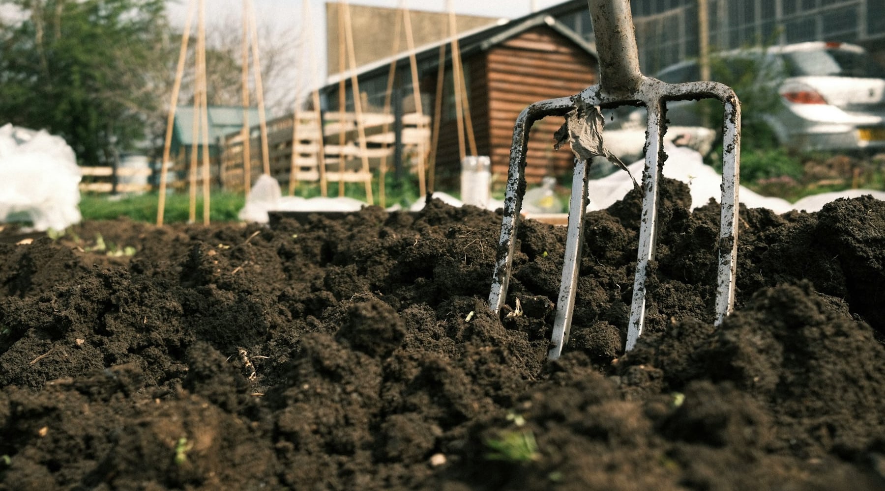 fall garden care