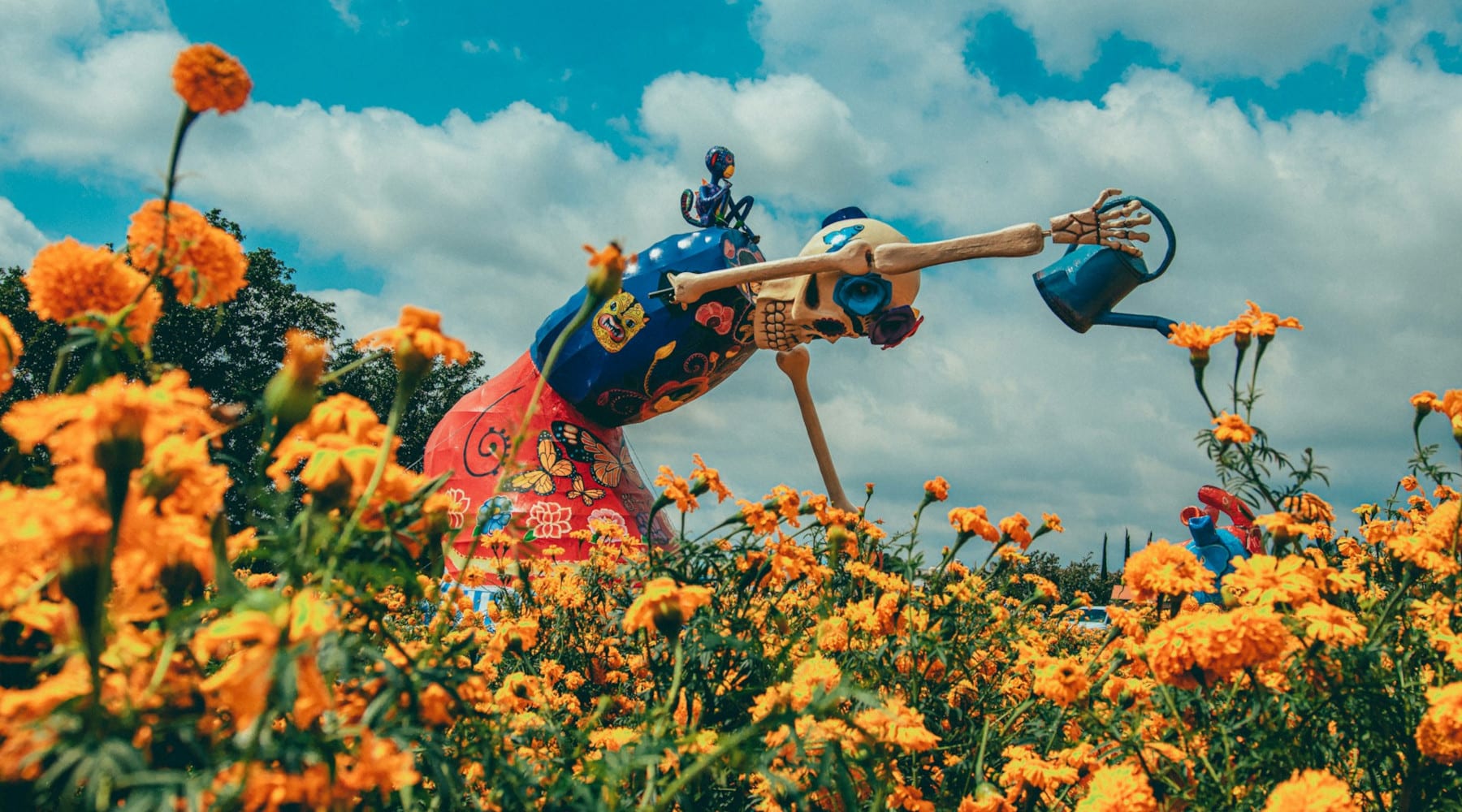 Marigolds for Día de Los Muertos